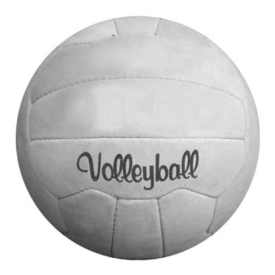 Volley Ball